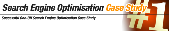 search-engine-optimisation-one-off