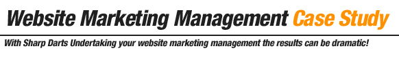 website-marketing-management-case-study